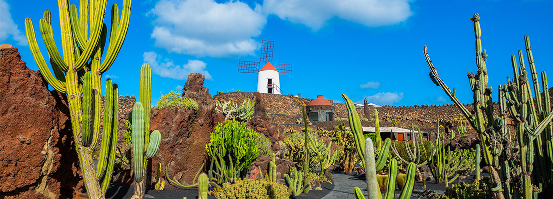 Lanzarote Cactus Garden