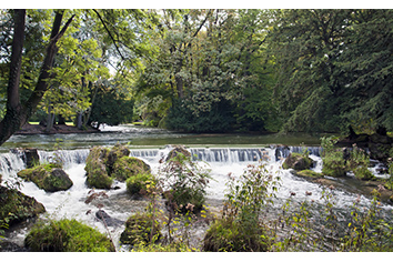 Munich nature