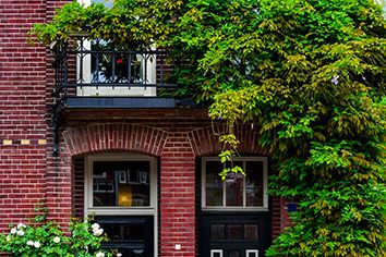 Eindhoven maison moderne avec lierre